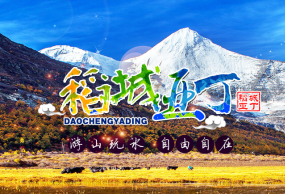 【天空之城5日游】稻城亚丁、木雅圣地、新都桥、红草地、泸定桥（品质团）